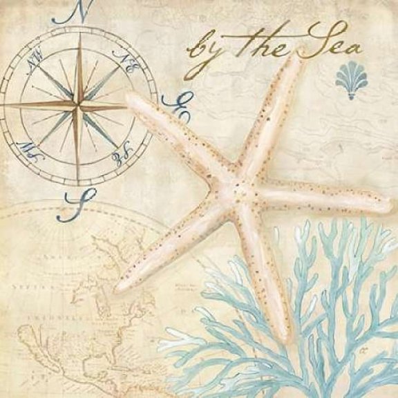 Nautical Shells I Canvas Art - Cynthia Coulter (24 x 24)