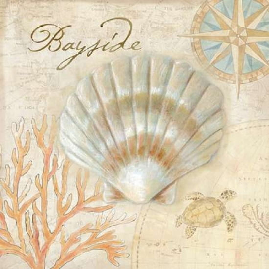 Nautical Shells II Canvas Art - Cynthia Coulter (24 x 24)