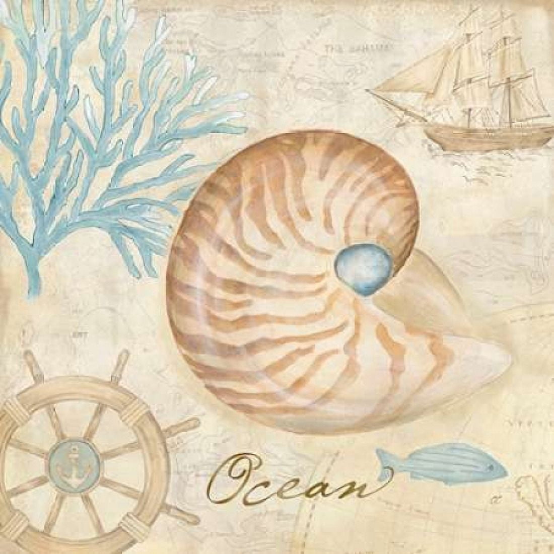 Nautical Shells III Canvas Art - Cynthia Coulter (24 x 24)