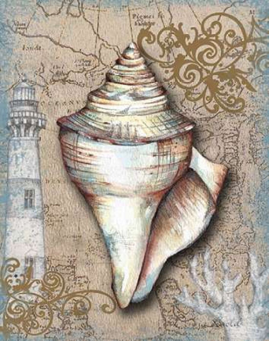 Nautical Treasures I Canvas Art - Donna Knold (22 x 28)