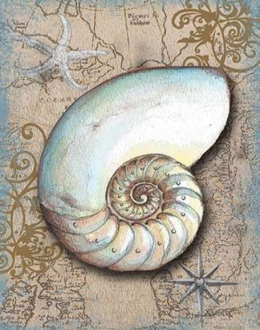Nautical Treasures III Canvas Art - Donna Knold (22 x 28)