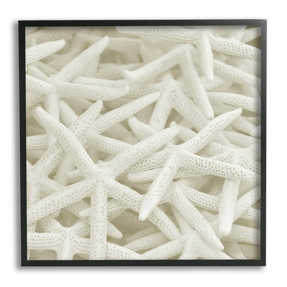 Nautical White Starfish Photography Coastal Photograph Black Framed Art Print Wall Art