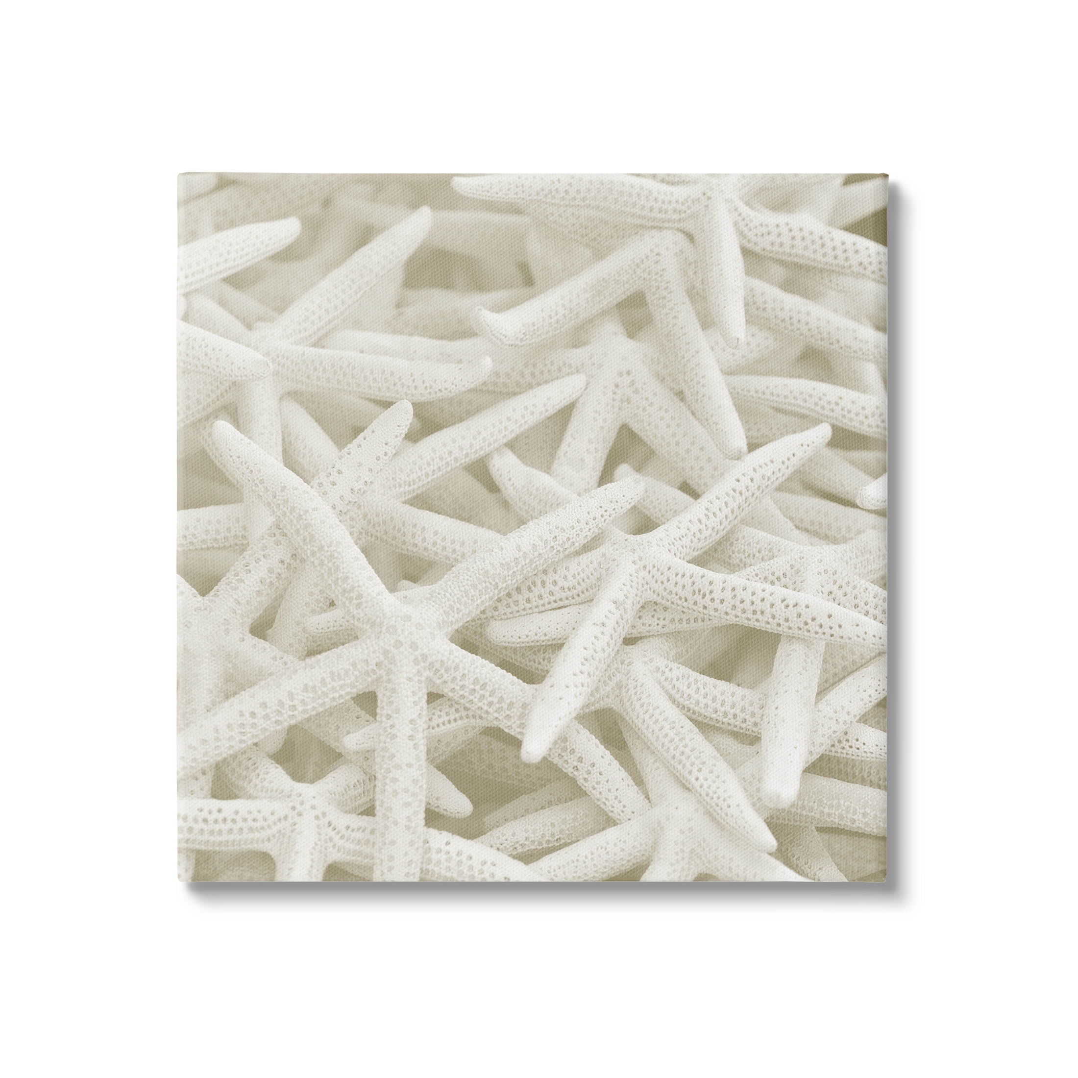 Nautical White Starfish Photography Coastal Photograph Gallery Wrapped Canvas Print Wall Art