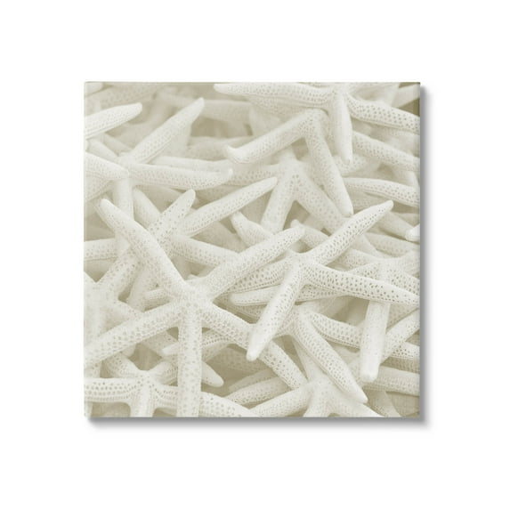 Nautical White Starfish Photography Coastal Photograph Gallery Wrapped Canvas Print Wall Art