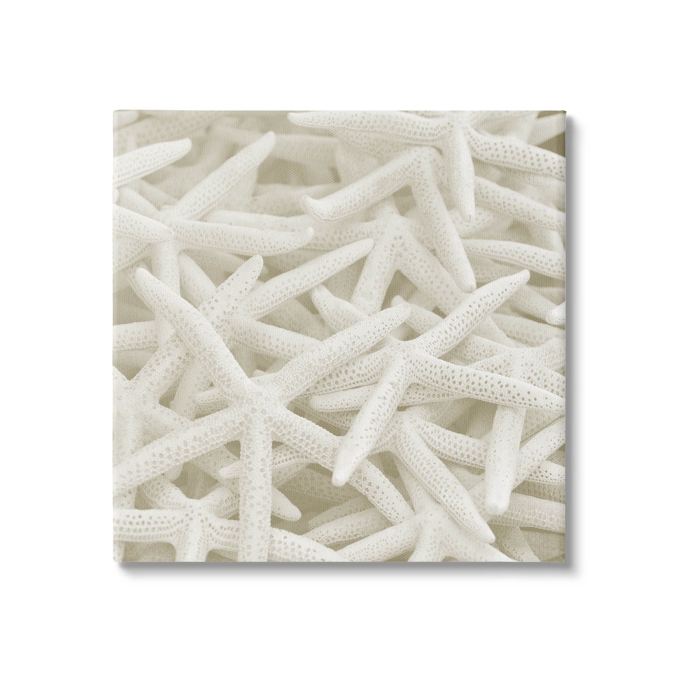 Nautical White Starfish Photography Coastal Photograph Gallery Wrapped Canvas Print Wall Art