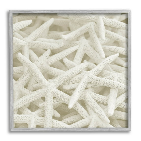 Nautical White Starfish Photography Coastal Photograph Gray Framed Art Print Wall Art