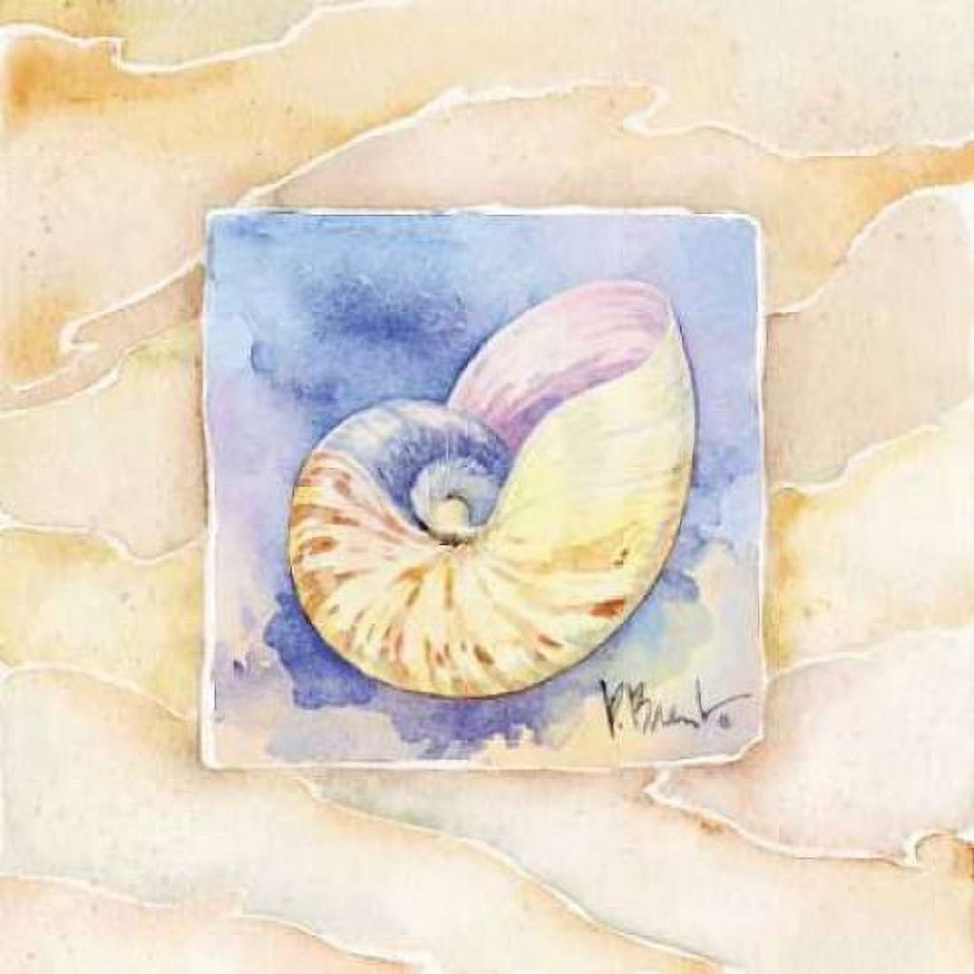 Nautilus Canvas Art - Paul Brent (24 x 24)