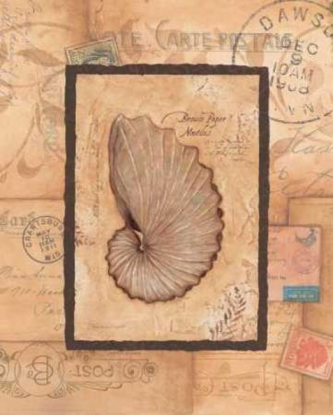 Nautilus Canvas Art - Stephanie Marrott (24 x 30)