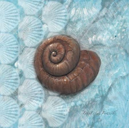 Nautilus Fossil Canvas Art - Arnie Fisk (24 x 24)