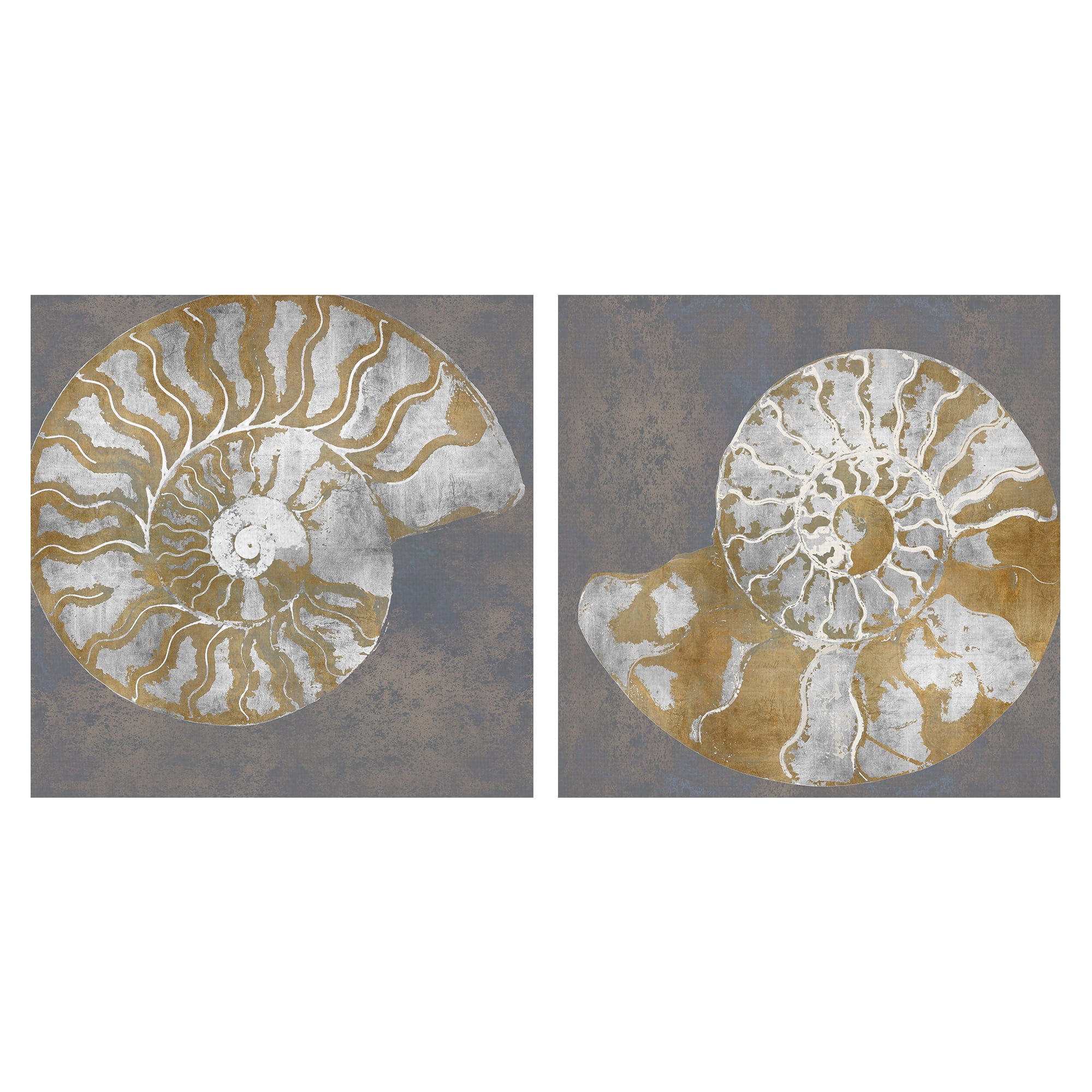 Nautilus I, II by Mark Chandon Mollusk Canvas Art Set of 2