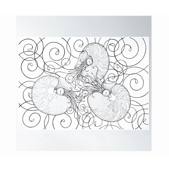 Nautilus Love Poster Wall Art Modern Wall Decor Home Decor Office Wall Art Living Room Decor, Paper Poster Only