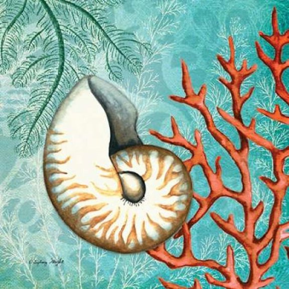 Nautilus Poster Print by Sydney Wright