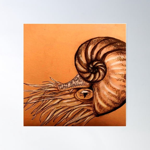 Nautilus Poster Wall Art, Modern Wall Decor For Living Room Bedroom, 17x17 UNFRAMED