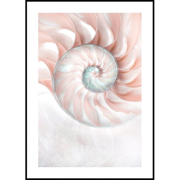 Nautilus Shell Poster Wall Art, Modern Wall Decor For Living Room Bedroom, 12x18 UNFRAMED