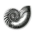 thumbnail image 1 of Nautilus Shell Vintage Illustration - 5" Vinyl Sticker - For Car Laptop I-Pad - Waterproof Decal, 1 of 1
