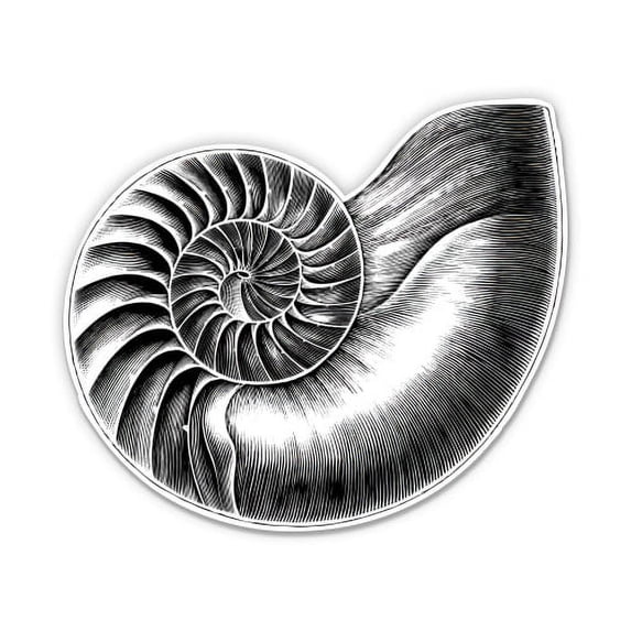 Nautilus Shell Vintage Illustration - 5" Vinyl Sticker - For Car Laptop I-Pad - Waterproof Decal