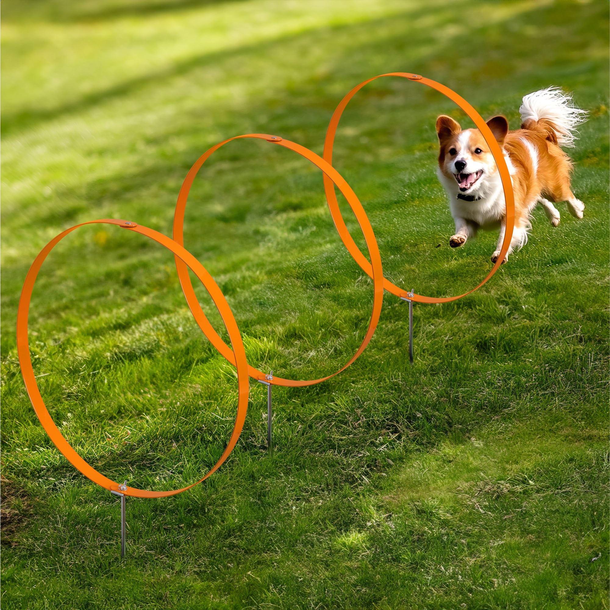 Navaris Dog Agility Training Hoops 3-Pack 50cm Hoop Stake Set
