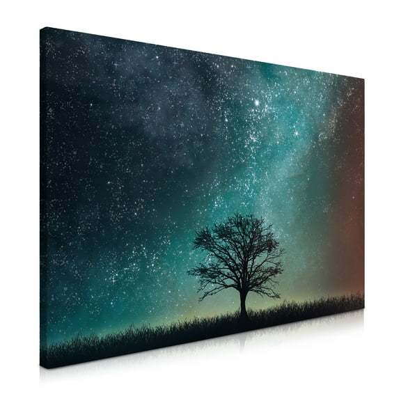 Navaris Magnetic Dry Erase Board - 16 x 24 inches Decorative White Board for Wall with Design, Includes 5 Magnets and Marker. Features Starry Sky and Tree Design.