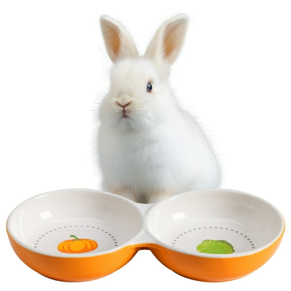 Navaris Twin Feeding Bowls for Small Pets - Durable Double Ceramic Bowl Set for Rabbits, Guinea Pigs - Ideal Food & Water for Kitten, Puppy - Space-Saving & Easy to Clean - Orange