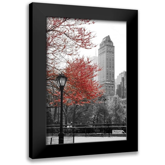 Navas, Emily 11x14 Black Modern Framed Museum Art Print Titled - Central Park with Red Tree