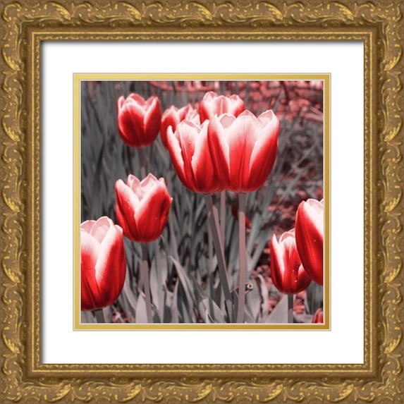 Navas, Emily 12x12 Gold Ornate Wood Framed with Double Matting Museum Art Print Titled - Red Tulips II