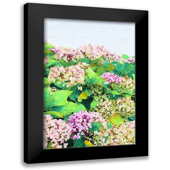 Navas, Emily 13x18 Black Modern Framed Museum Art Print Titled - Garden Beauties I