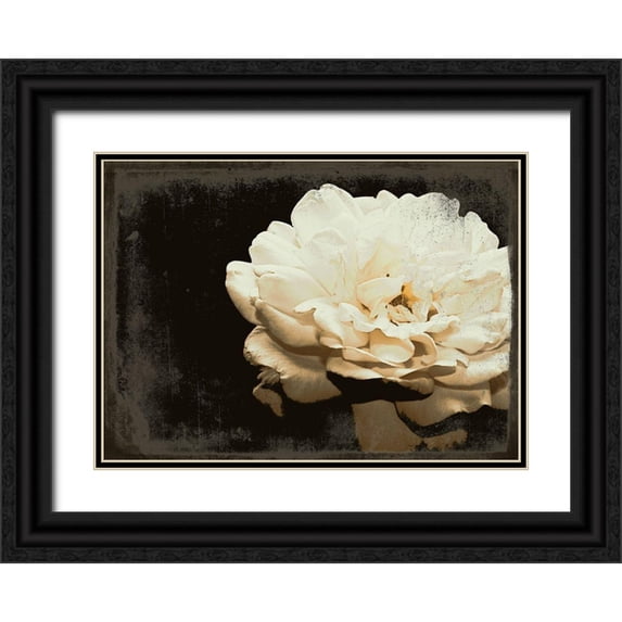 Navas, Emily 14x11 Black Ornate Wood Framed with Double Matting Museum Art Print Titled - Blooming Elegance