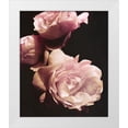 thumbnail image 1 of Navas, Emily 15x17 White Modern Wood Framed Museum Art Print Titled - Solitary Bouquet II, 1 of 4