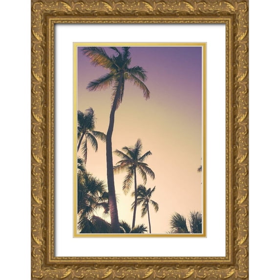 Navas, Emily 17x24 Gold Ornate Wood Framed with Double Matting Museum Art Print Titled - Evening Palms