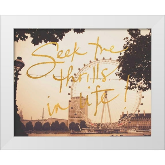 Navas, Emily 18x15 White Modern Wood Framed Museum Art Print Titled - Seek Thrills In Life
