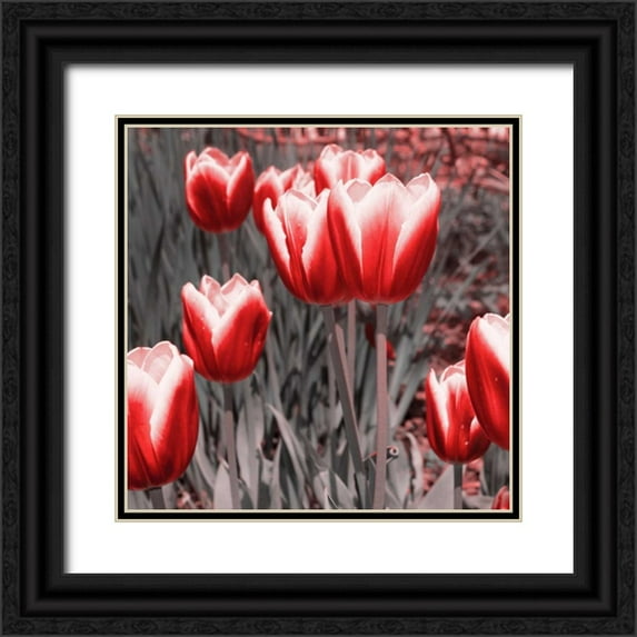 Navas, Emily 20x20 Black Ornate Wood Framed with Double Matting Museum Art Print Titled - Red Tulips II