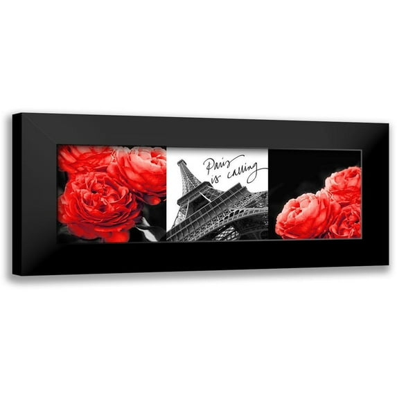 Navas, Emily 24x11 Black Modern Framed Museum Art Print Titled - Eiffel Tower Red Roses