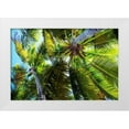 thumbnail image 1 of Navas, Emily 32x23 White Modern Wood Framed Museum Art Print Titled - The Shady Spots I, 1 of 4