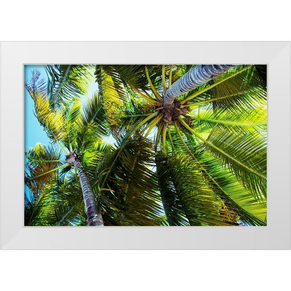 Navas, Emily 32x23 White Modern Wood Framed Museum Art Print Titled - The Shady Spots I