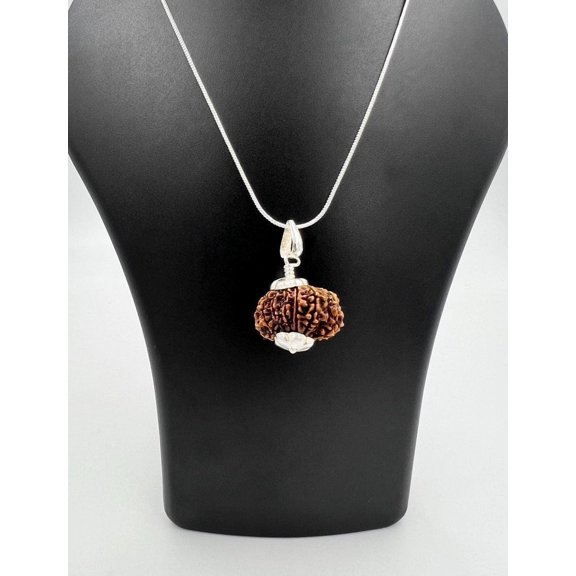 Navratan Gems 12 Mukhi Nepali Rudraksha Pendant with 925 Sterling Silver Chain  Divine Sun Blessings & Energy Shield Necklace