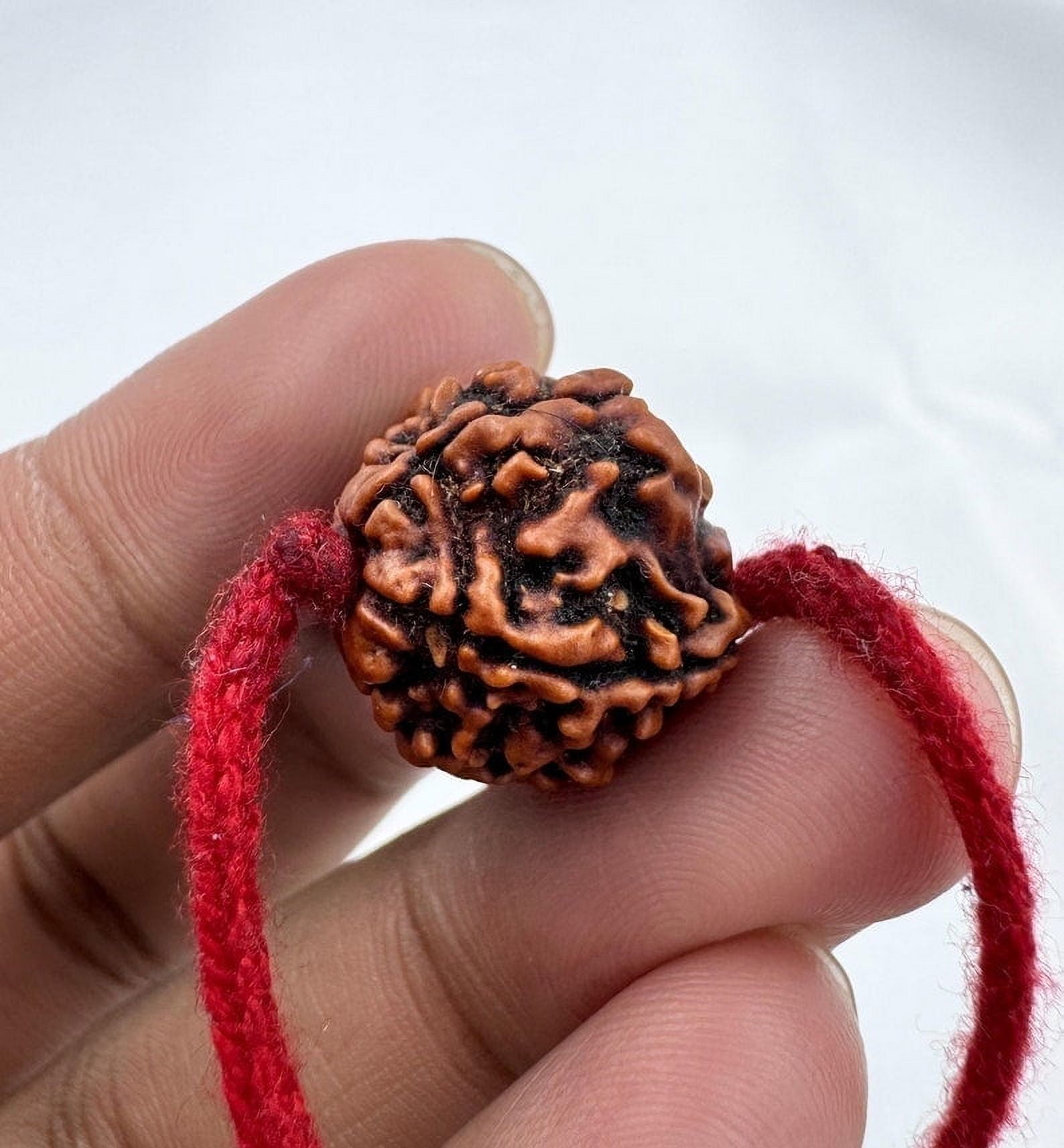 Navratan Gems 5 Mukhi Nepali Rudraksha | Certified Bead with 18" Sacred Red Thread for Spiritual Practices
