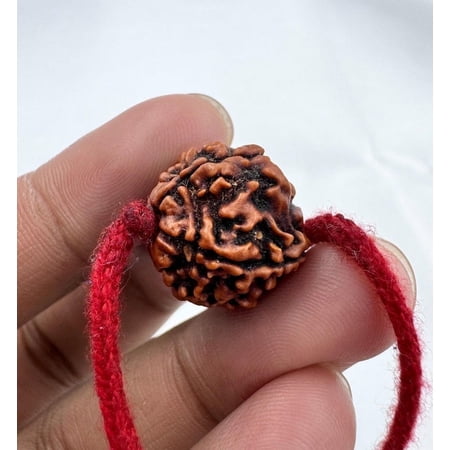 Navratan Gems 5 Mukhi Nepali Rudraksha | Certified Bead with 18" Sacred Red Thread for Spiritual Practices
