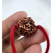 Navratan Gems 5 Mukhi Nepali Rudraksha | Certified Bead with 18 Sacred Red Thread for Spiritual Practices