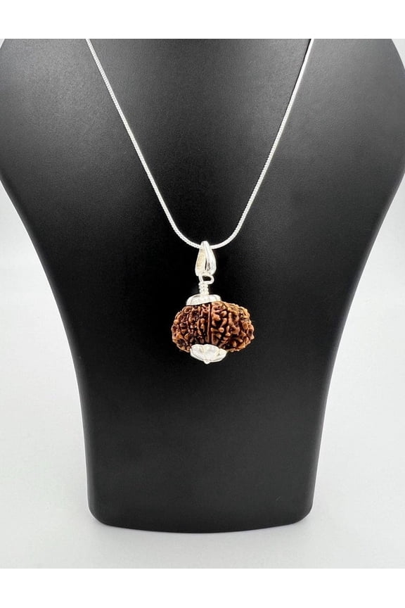 12 Mukhi Nepali Rudraksha Pendant with German Silver Chain Powerful Sun Energy & Spiritual Protection Amulet
