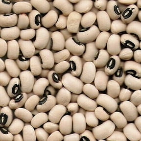 Navy Bean (White Bean) Non_GMO (10LB)