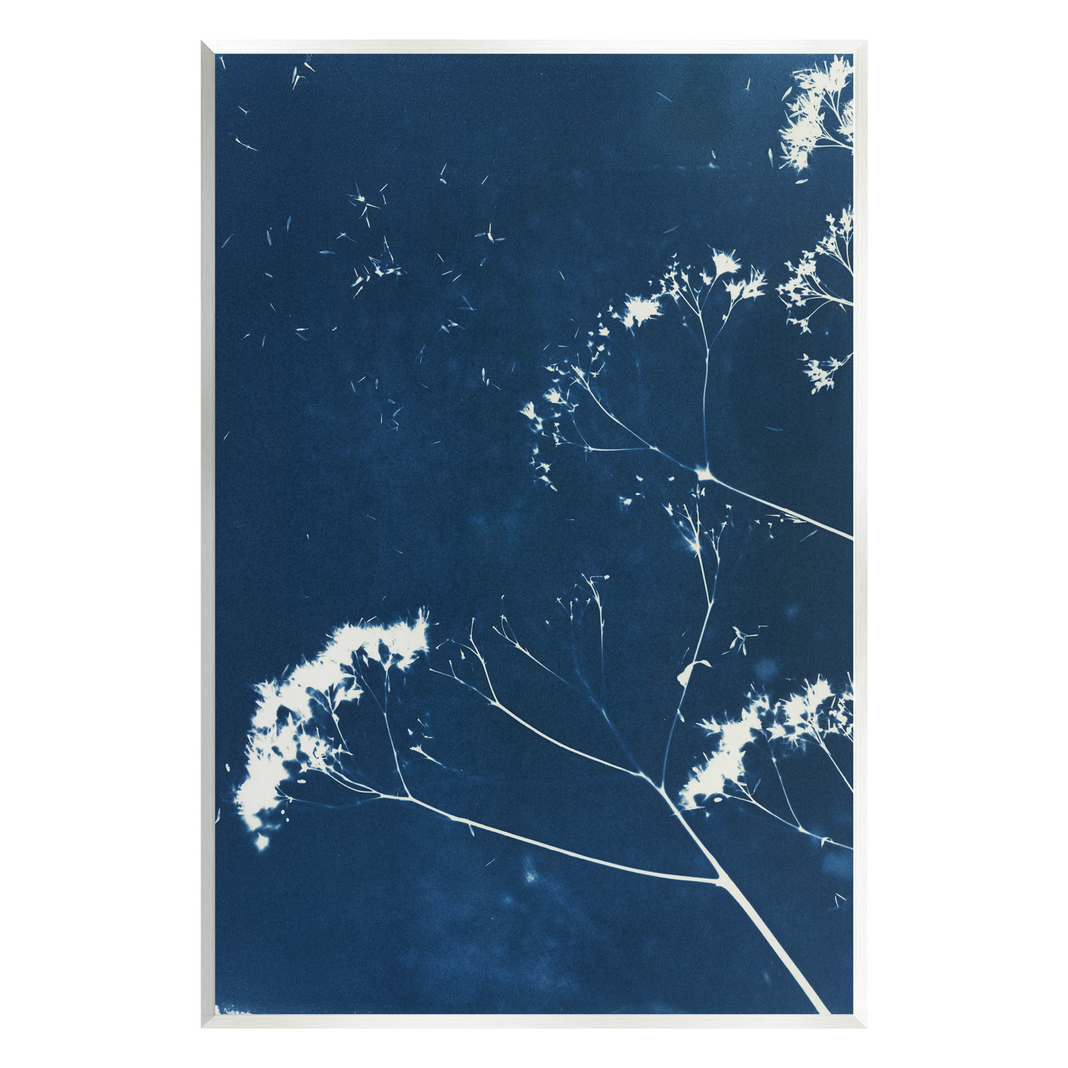 Navy Blue Botanical Sprouts Botanical & Floral Graphic Art Unframed Art Print Wall Art