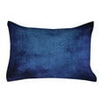 thumbnail image 1 of Navy Blue Quilted Pillowcover, Martian Alien Skin Like Dark Blue Contemporary Interesting Space Design Art Print, Standard King Size Accent Pillow Cover for Bedroom, 36" x 20", Dark Blue, by Ambesonne, 1 of 2