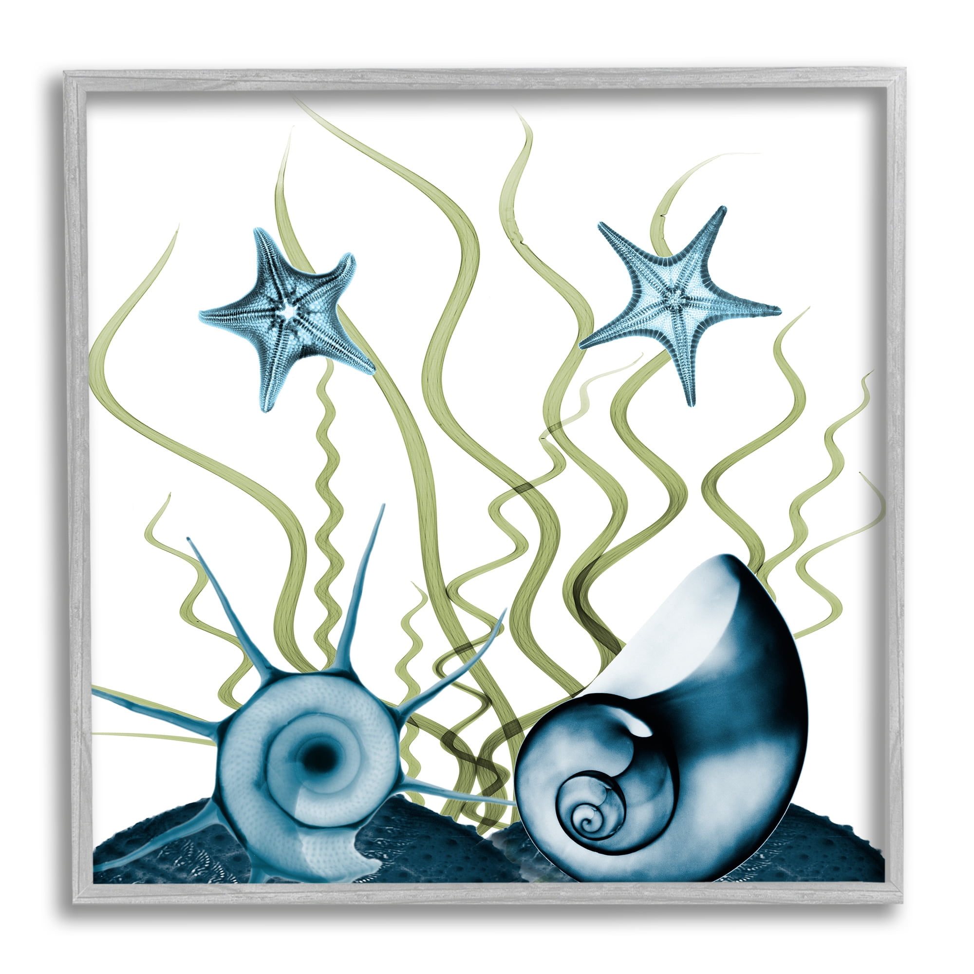 Navy Blue Sea Floor Arrangement Translucent Shell Collage Animals & Insects Framed Art Print Wall Art, 17x17