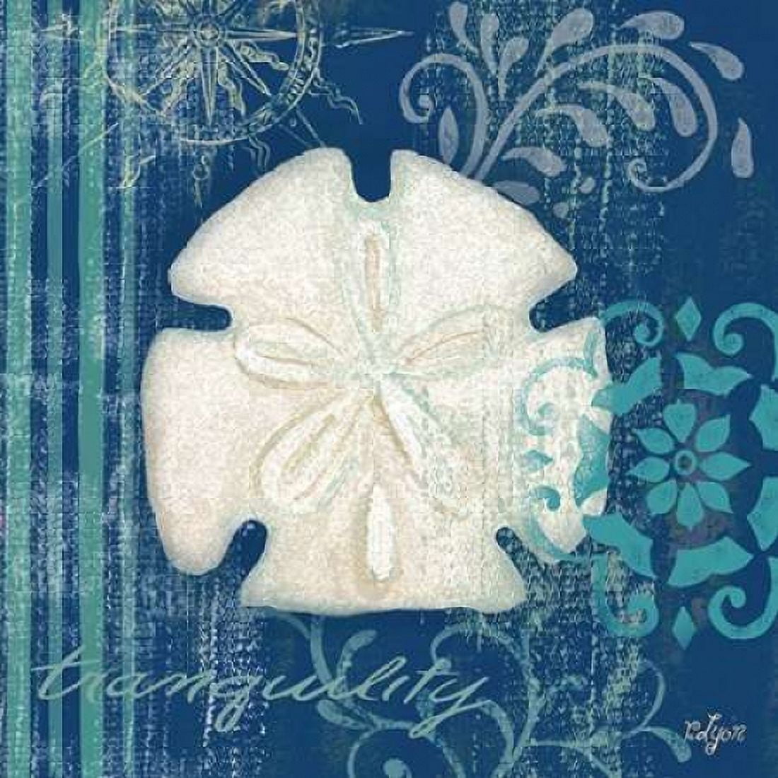 Navy Blue Spa Shells II Canvas Art - Rebecca Lyon (24 x 24)