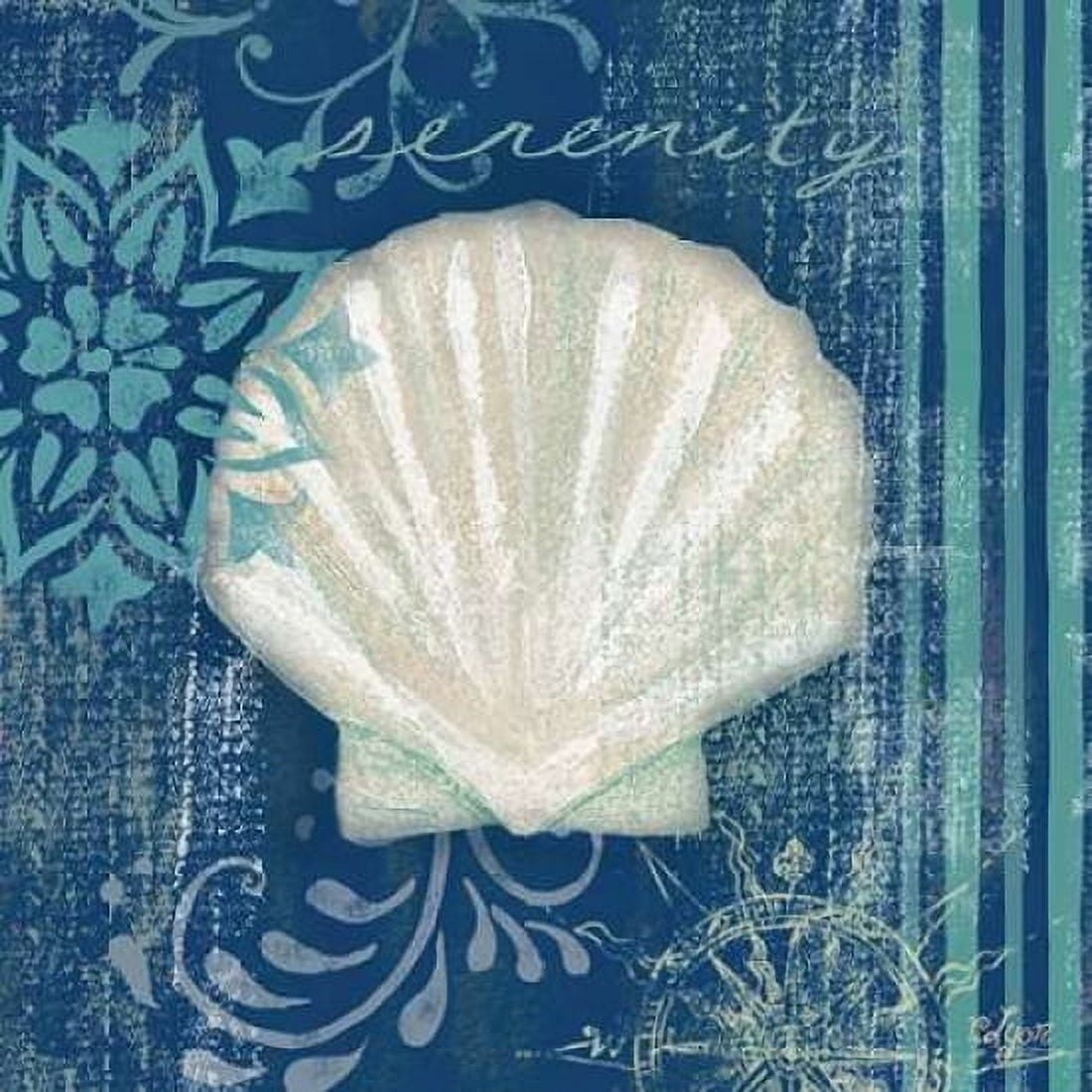 Navy Blue Spa Shells III Canvas Art - Rebecca Lyon (24 x 24)