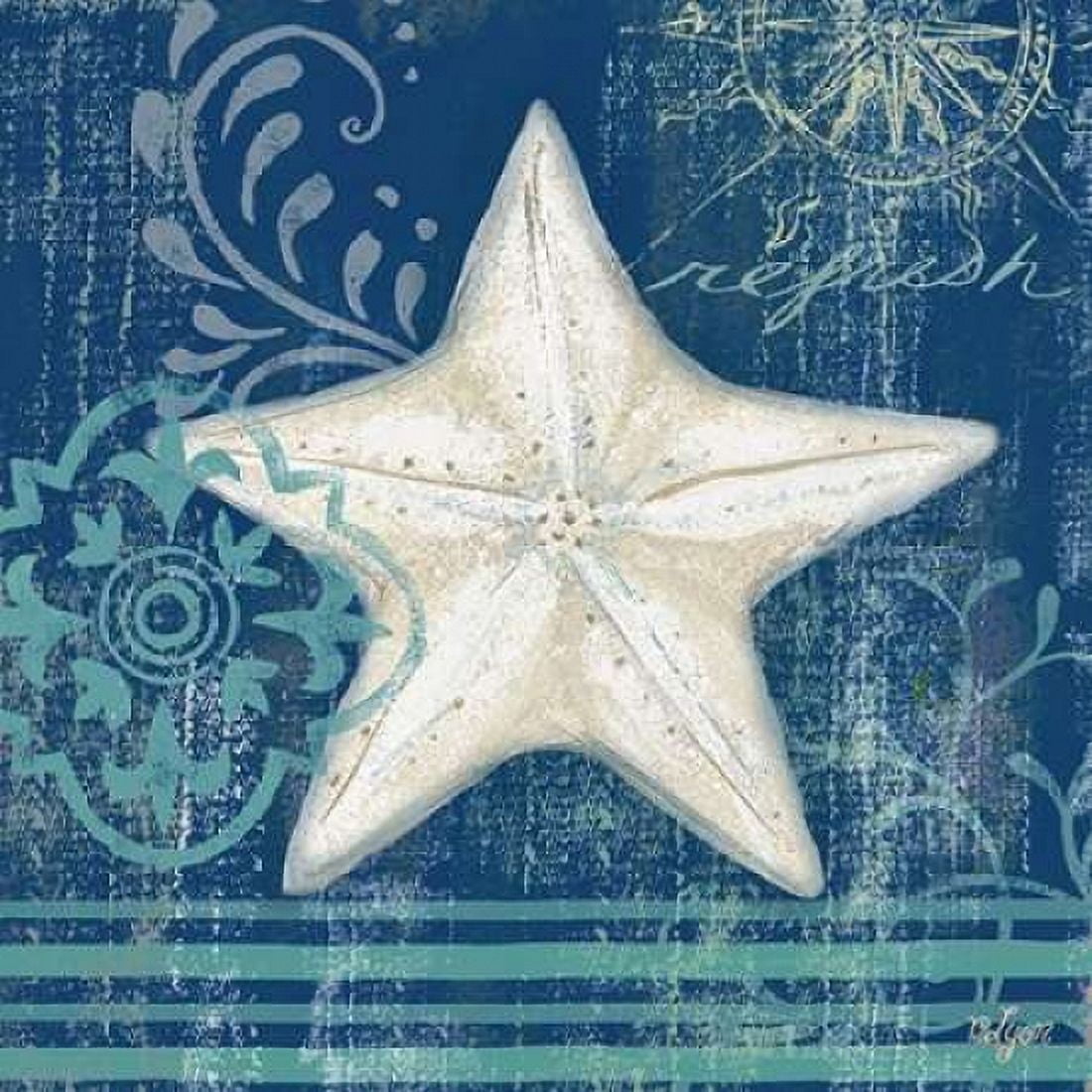 Navy Blue Spa Shells IV Canvas Art - Rebecca Lyon (24 x 24)
