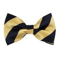 thumbnail image 1 of Navy Blue and Honey Gold College Stripe Pre-Tied Bow Tie, 1 of 5