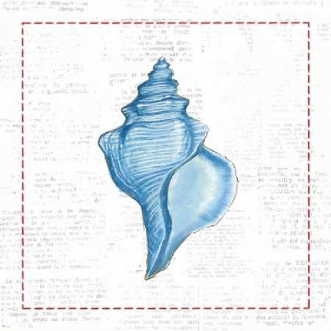 Navy Conch Shell on Newsprint with Red Canvas Art - Emily Adams (24 x 24)