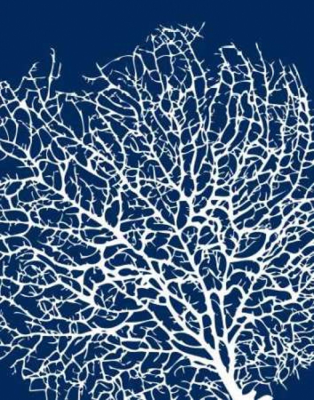 Navy Coral I Canvas Art - Sabine Berg (22 x 28)