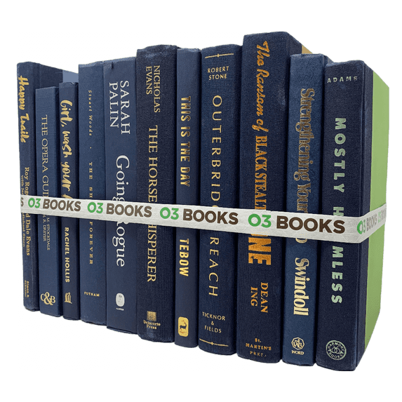 Navy Decorative Books